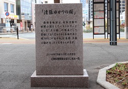 清張の桜の記念碑