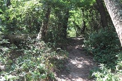 小岳登山道入り口