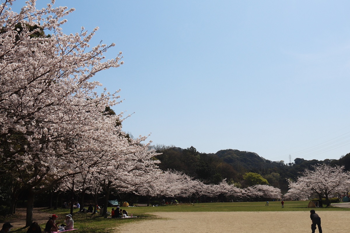 長谷ダム記念公園