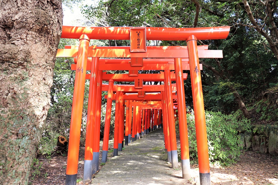 名島豊川稲荷の鳥居
