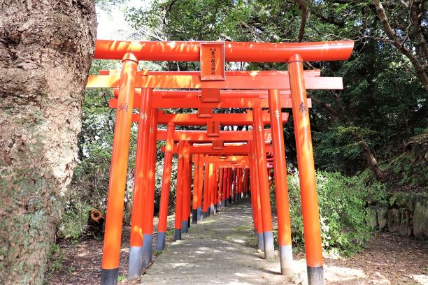 名島豊川稲荷の鳥居