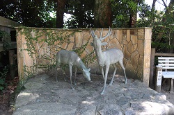 鹿のモニュメントの写真
