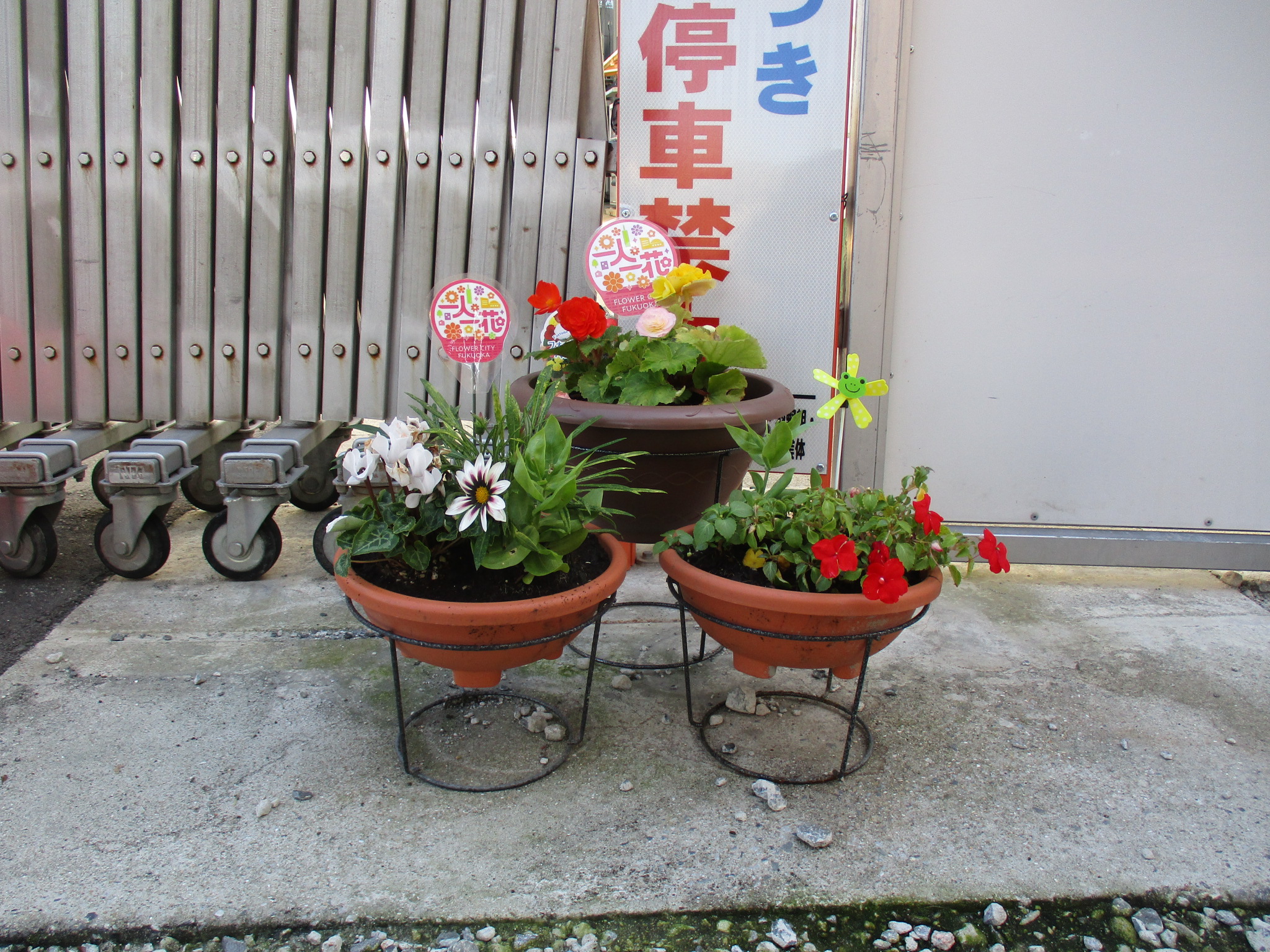 パートナー花壇のプランターの紹介