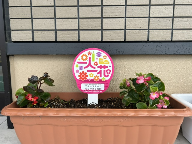 花壇の写真
