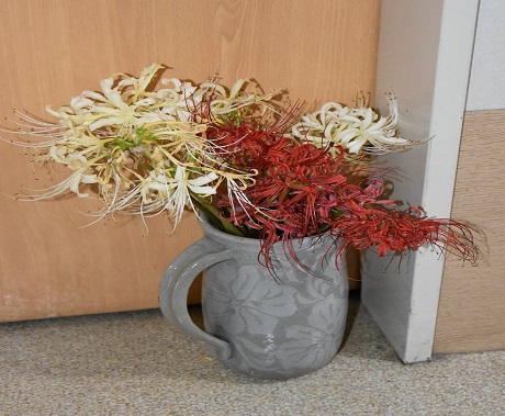 彼岸花3