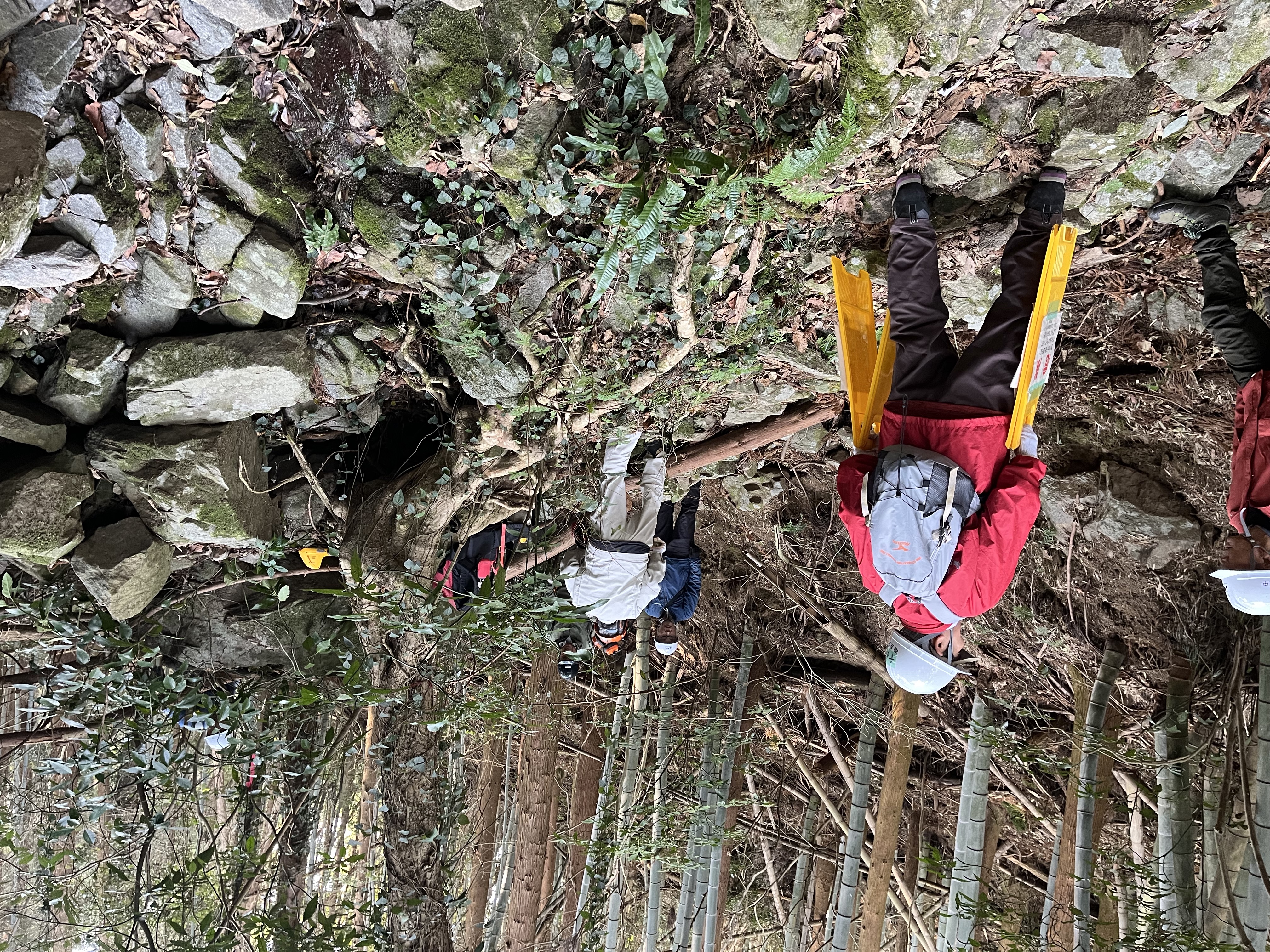 登山道整備
