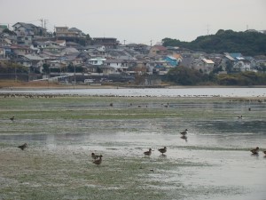 その他の分野です。