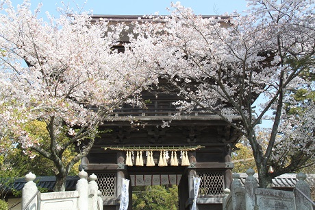 香椎宮1