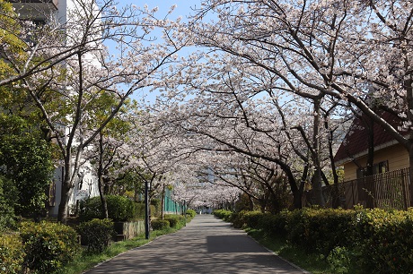 香椎浜1