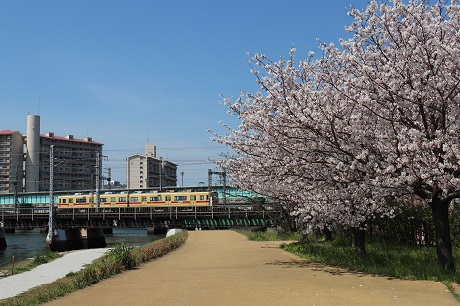 多々良川河畔1