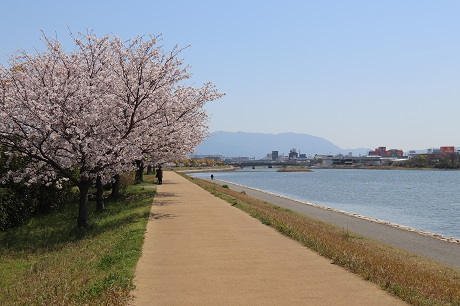 多々良川河畔2