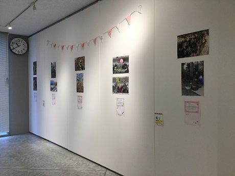 一人一花写真コンテスト