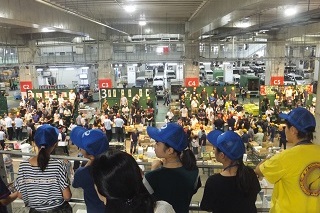画像：ベジフルスタジアムで競りを見学