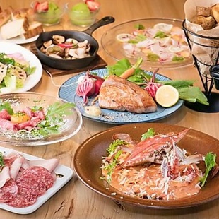 料理