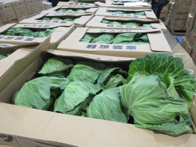 キャベツの写真