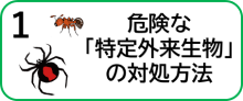 １　危険な「特定外来生物」の対処方法
