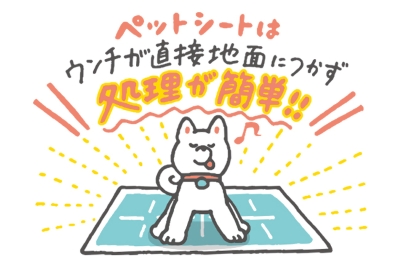 ペットシートはウンチが直接地面につかず処理が簡単
