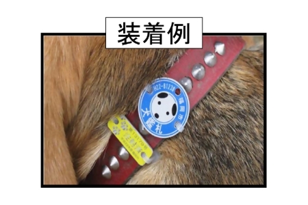 鑑札・済票装着例