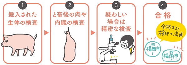 検査の流れを表した図。１．搬入された生体の検査。２．と畜後の肉や内臓の検査。３．疑わしい場合は精密な検査。４．合格すると、検印を押され、流通する。