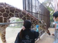 動物園の様子