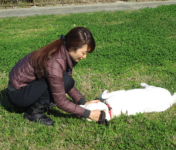 動物愛護管理センターの様子