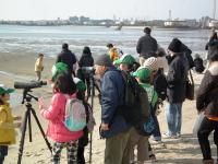 バードウォッチングの様子