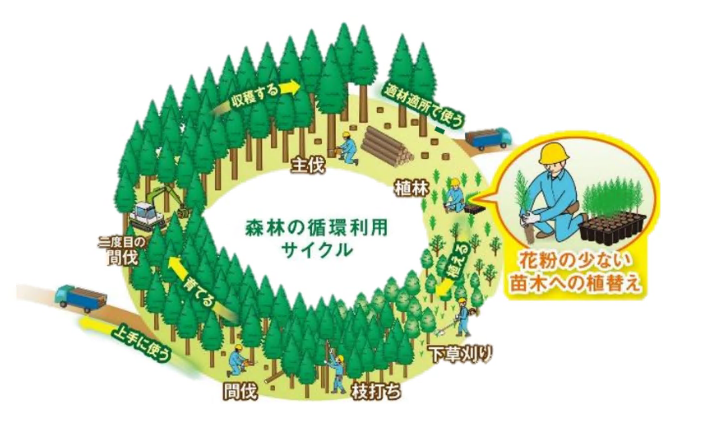 森林の循環利用サイクルのイメージ図