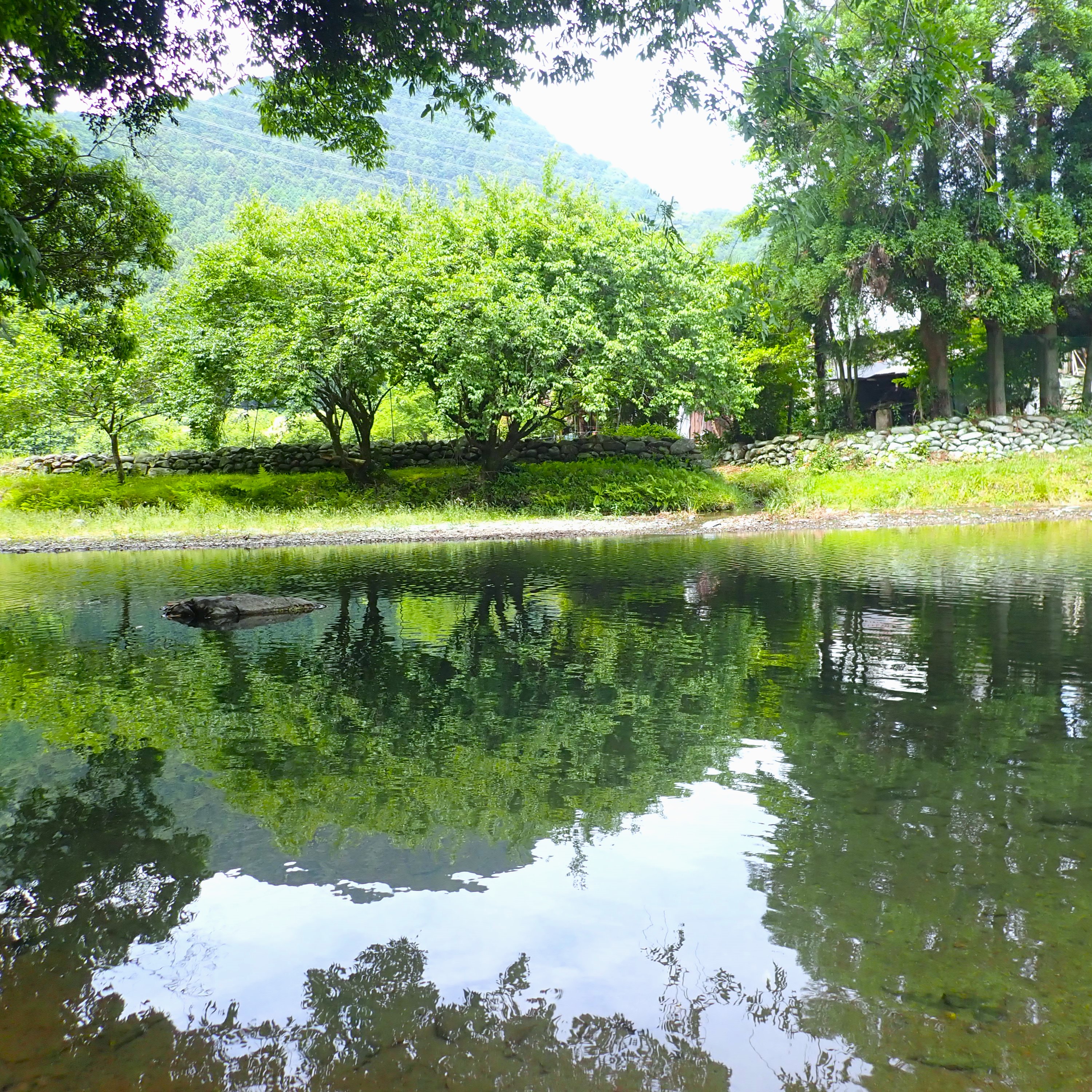 寺内ダムとつながっている小石原川