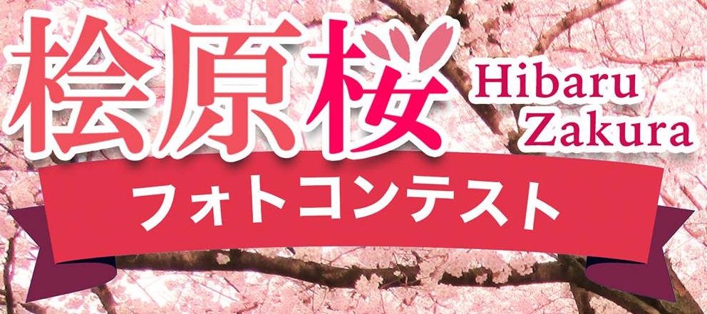 桧原桜フォトコンテスト