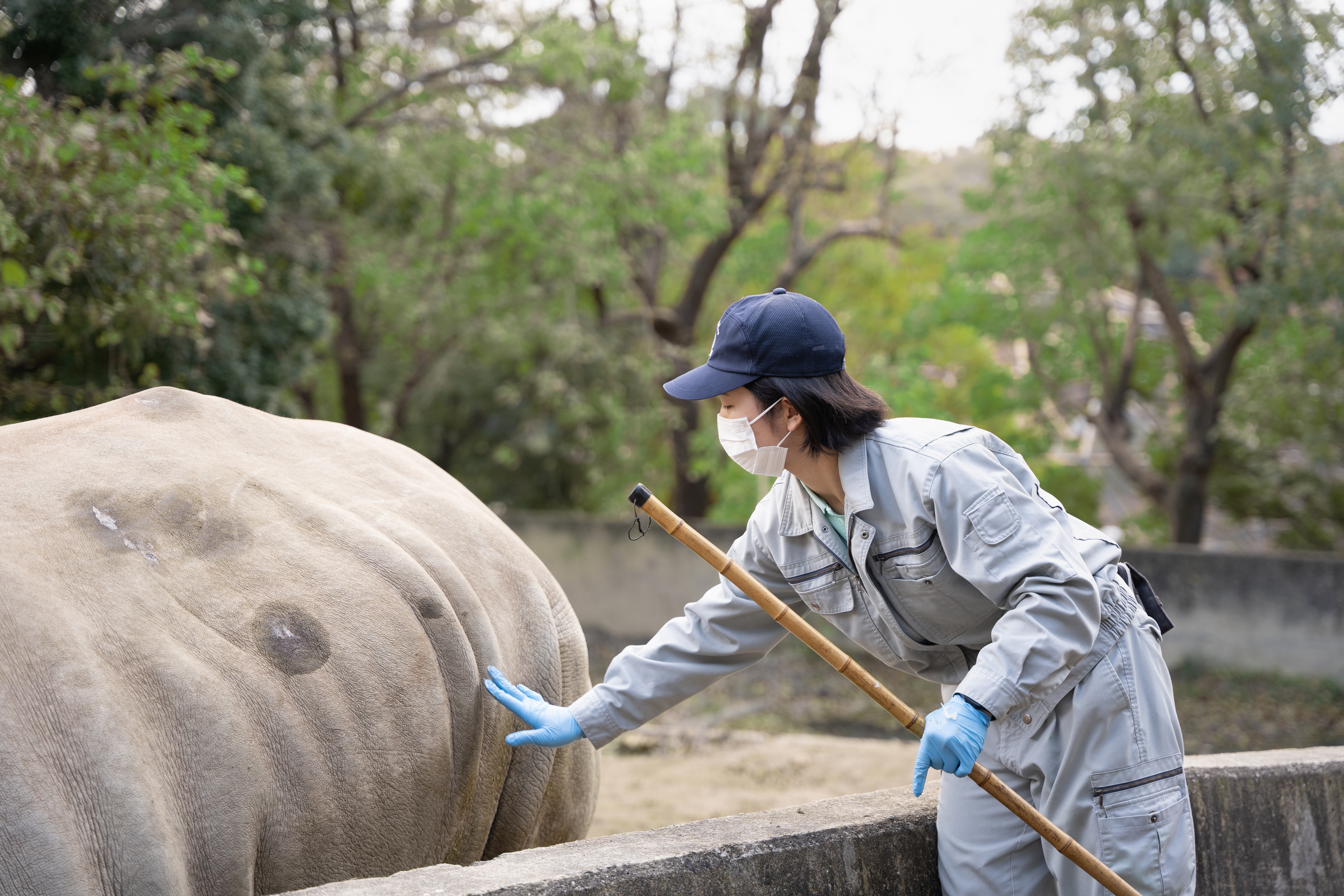 写真）衛生管理（動物）　栗原（その3）