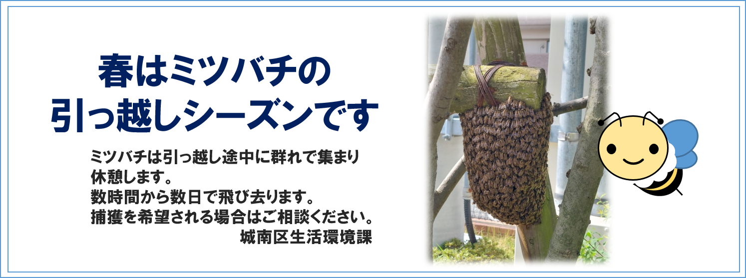 ミツバチマッチング事業