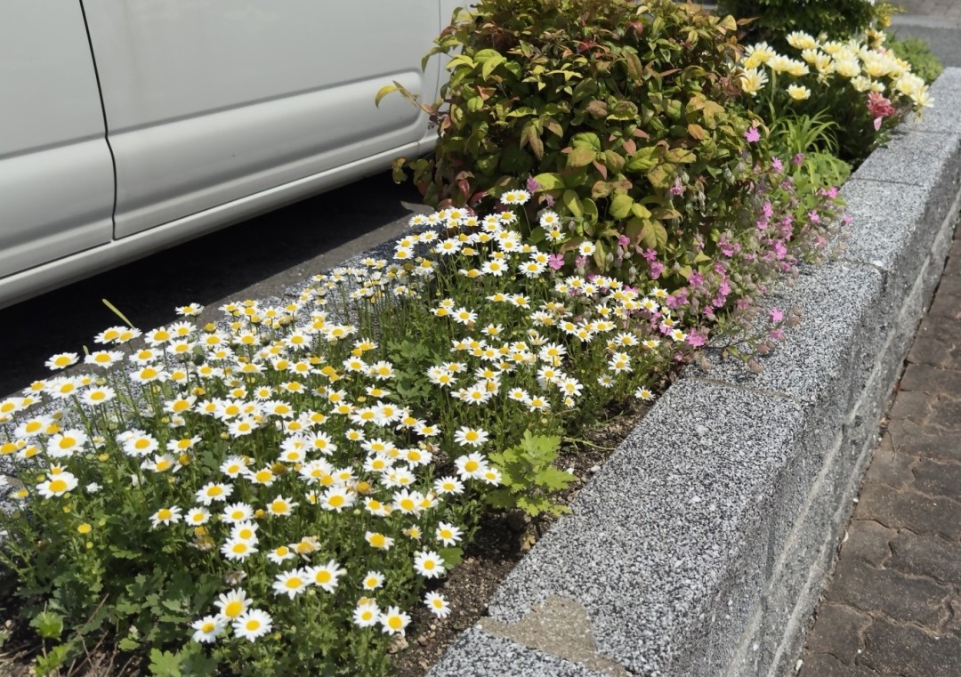 長尾住宅ふれあい花壇の写真