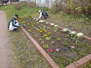 西の堤池花壇2