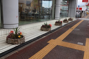 菜摘の花壇２