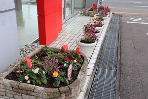 菜摘の花壇３