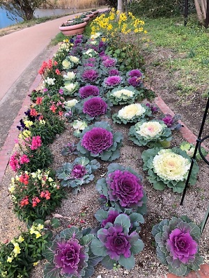 西の堤池花壇1