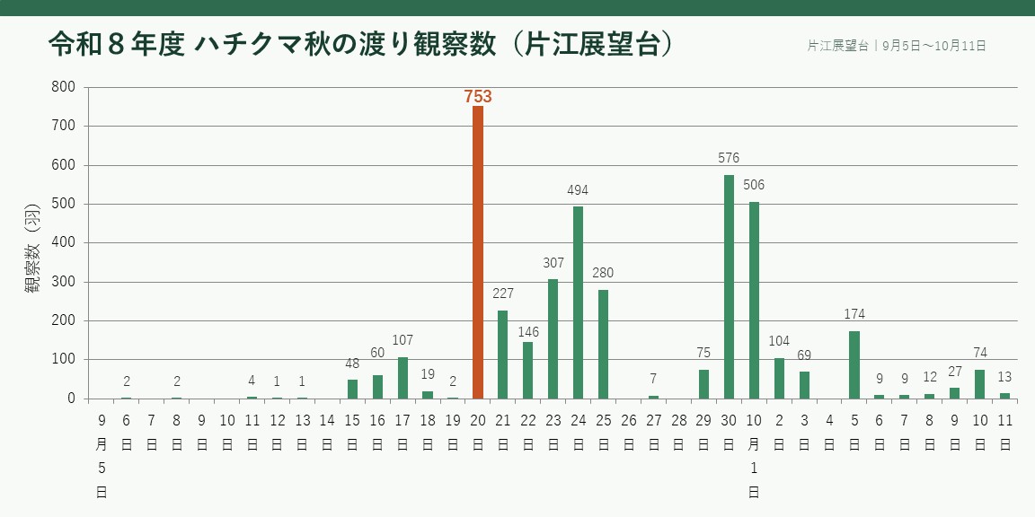 令和8年度ハチクマ観察数(片江展望台)