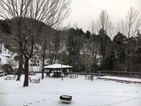 油山冬景色