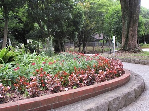 夏花壇