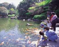 初夏の友泉亭