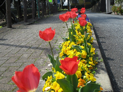 坂道花壇
