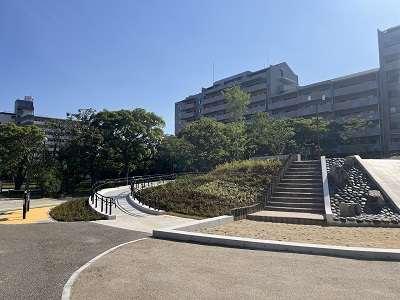 スロープで頂上まで到達可能な築山と滑り台