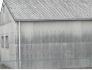 スレート波板の写真