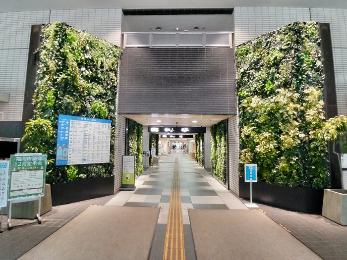 市役所本庁舎ロビーの緑化