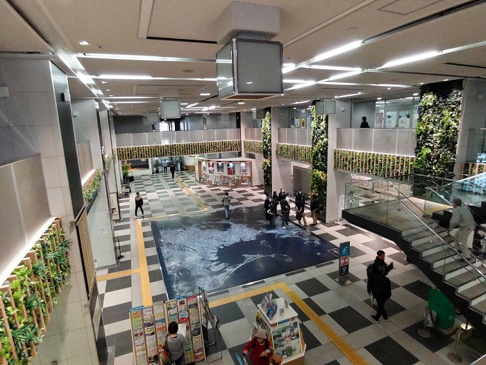市役所本庁舎1階ロビーの緑化