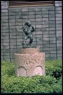桂の影（写真）