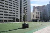 福岡市役所ふれあい広場の写真