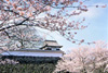 Q5(写真)