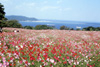 Q19(写真)