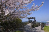 Q26(写真)